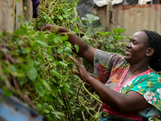Fridah tending her urban farm in Dagoretti, Nairobi
