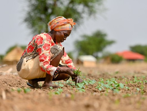 Anok Angok Kon lives in Aguat Boma, South Sudan. Regular floods damage her farmland, threatening her  livelihood and her family’s access to food